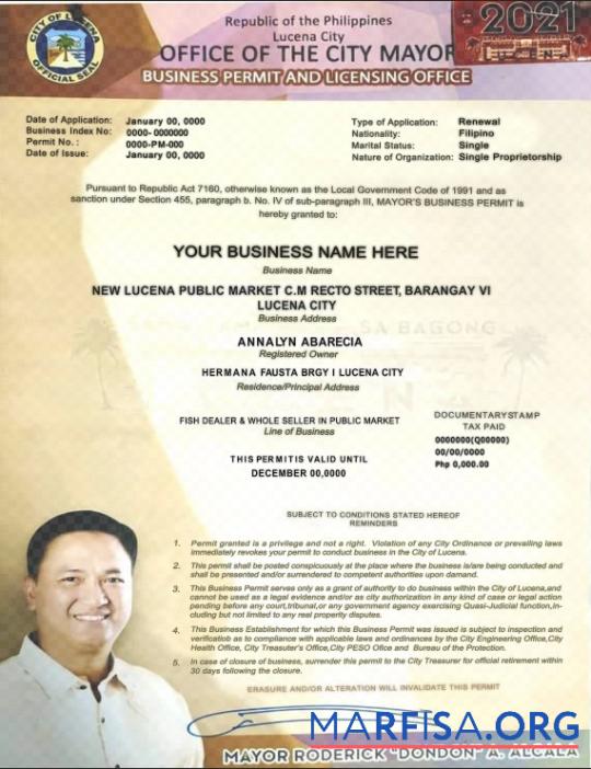 Realistic Philippines City of Lucena private entrepreneur certificate template in PSD format